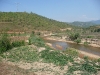 p1000449
