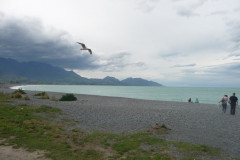 Kaikoura