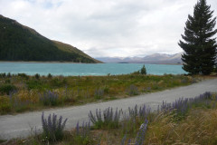 Lake Tekapo