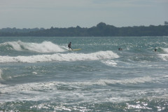 Puerto Viejo de Talamanca