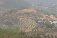 Sapa