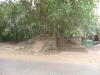p1000242