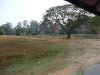 p1000253
