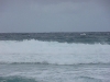 Bondi Beach