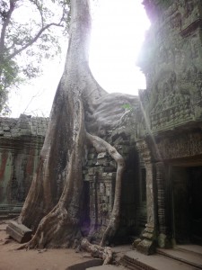 templesAngkor06