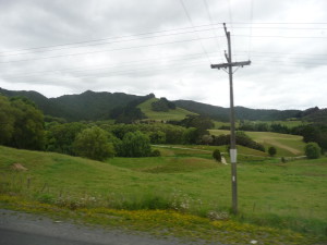 P1000830