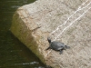 P1020696